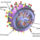 3d_influenza_virus_417238_26240_t