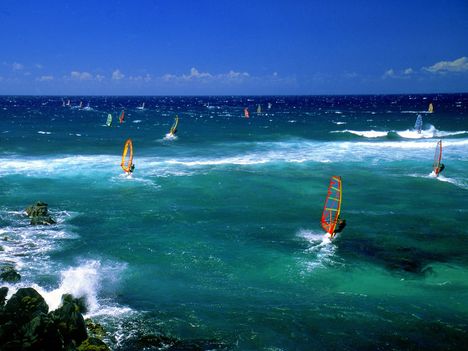 Windsurfers, Maui