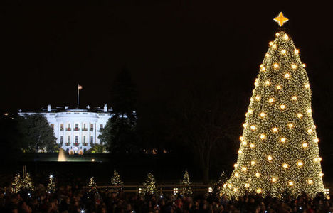 karácsonyfa kivilágítva