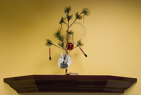 szolíd karácsonyfa