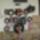 Cimg6230_422738_29974_t