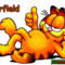 Garfield alias Jani!