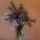 Liliomok_422467_77440_t