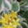 Viragok_015_422947_79826_t
