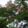 Viragok_019_422951_65116_t