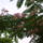 Viragok_022_422954_36068_t