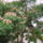 Viragok_029_422963_91578_t