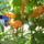 Viragok_030_422964_26041_t