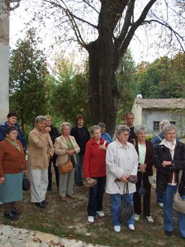 2009.09.30. Borostyán K