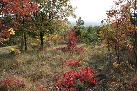 A Balaton ősszel-Balaton-felvidék