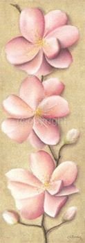 Caroline Wenig-Pastel blossoms