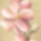 Caroline Wenig-Pastel blossoms