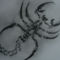 saját rajzom skorpió by b.J