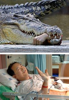 éhes krokodil