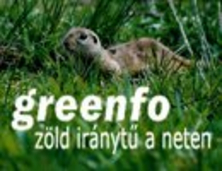 greenfo