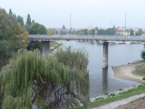 BAJA-Híd a Petőfi Szigetre