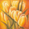 Tulipes-de-Soleil-Print-C12315974