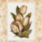 A100413~Fleur-du-Jour-Tulip-Posters