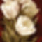 Magnificent-Tulips-I-Print-C10108268