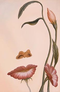 octaviocampoflor