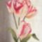 Parrot-Tulips-Print-C11736082