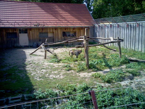 Xantus János állatkert - Győr 28