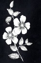 720-6
