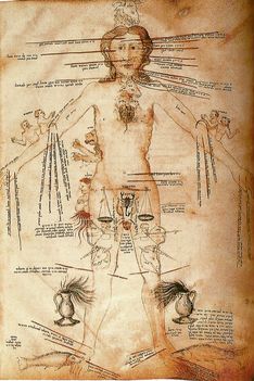 Astrological_signs_and_human_body_parts_14th_century