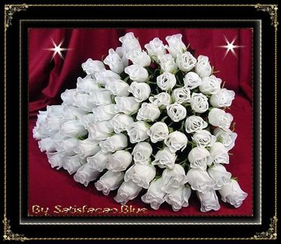 Fehér rózsa csokor mamoca2 képei