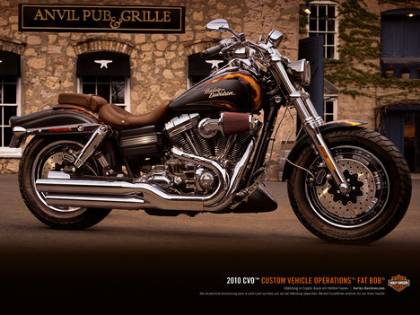 Harley.Davidson 2010_2