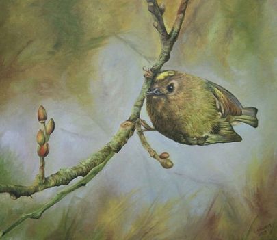 goldcrest