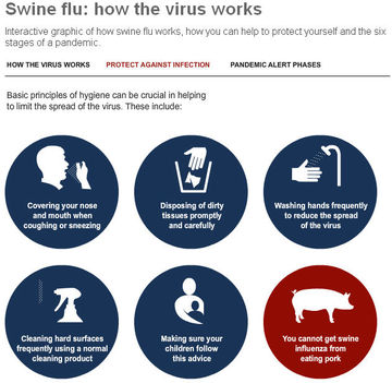 H1N1 Vírus 2
