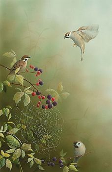 tree-sparrows