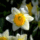 109_thumb_441860_22190_t