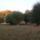 2009_11_05_002_441695_28310_t