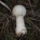 2009_11_05_005_441696_18957_t