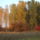 2009_11_05_006_441697_64438_t