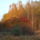 2009_11_05_013_441691_68856_t