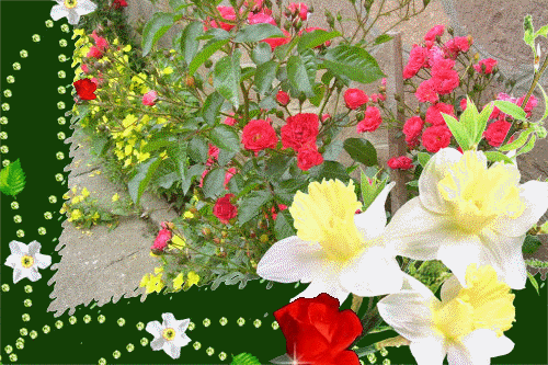 c9569b2f06b612bce8c2b73e1feadd0e
