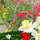 C9569b2f06b612bce8c2b73e1feadd0e_441843_11257_t