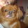 Dsc00006_441035_17006_t