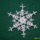 S7301036_441605_54793_t