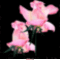 virág 7