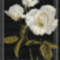 virág 9