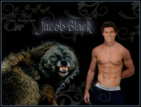 Jacob Black vérfarkas 2