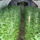 Dsc01301_443566_28635_t