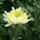 Dsc01341_443568_67753_t
