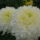 Dsc01396_443572_53570_t