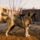 Giita_443728_97173_t