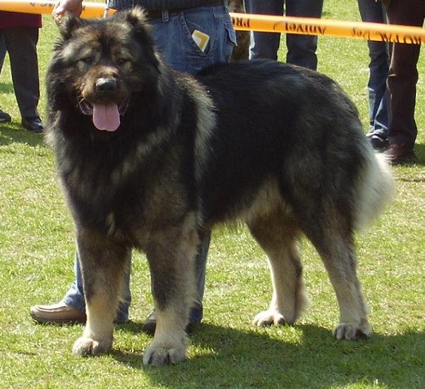 445837_37471.jpg